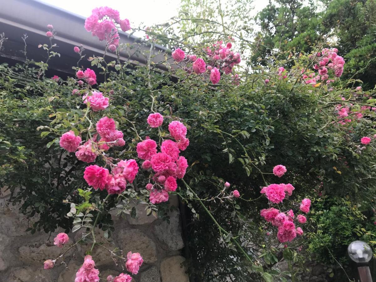 Country House Paola マリーナ・ディ・ジョイオーザ・イオーニカ エクステリア 写真
